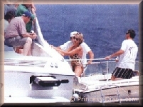 Diana and the press